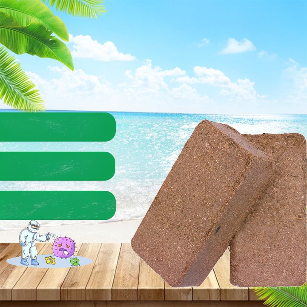 ดินมะพร้าวอบแห้งเกรดพรีเมียม ส - Substrate Coconut Fiber บทวิจารณ์และราคา