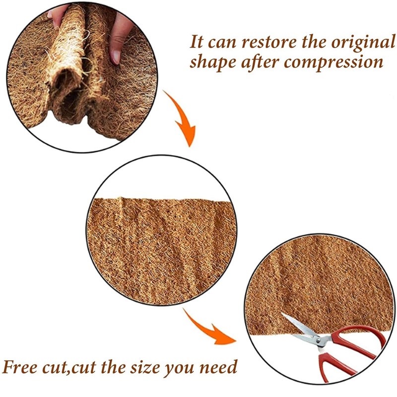 พรมสำหรับสัตว์เลื้อยคลานจากธรร - Substrate Coconut Fiber บทวิจารณ์และราคา