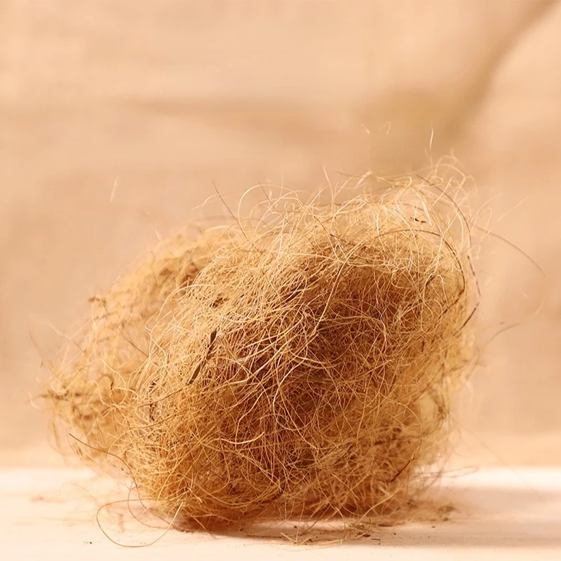 100 กรัม ใยมะพร้าวสำหรับทำที่น - Substrate Coconut Fiber บทวิจารณ์และราคา