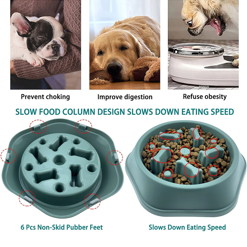 ชามอาหารสุนัขแบบกินช้า ป้องกัน - Royal Canin Food Medium บทวิจารณ์และราคา